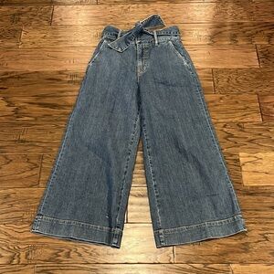 Joie Marylu Tie Culottes Wide Leg Ankle High Rise Size 2